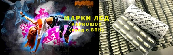 сатива Алзамай